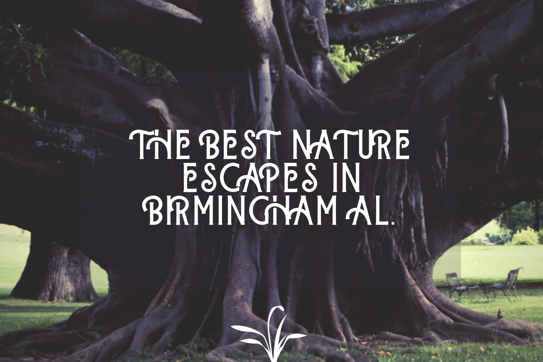 Plant - The Best Nature Escapes in Birmingham AL