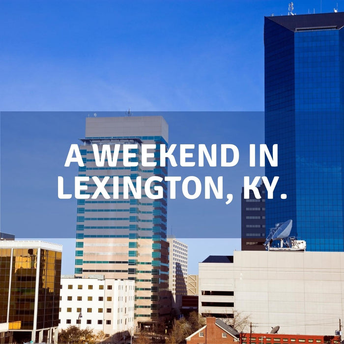 things to do in lexington ky
