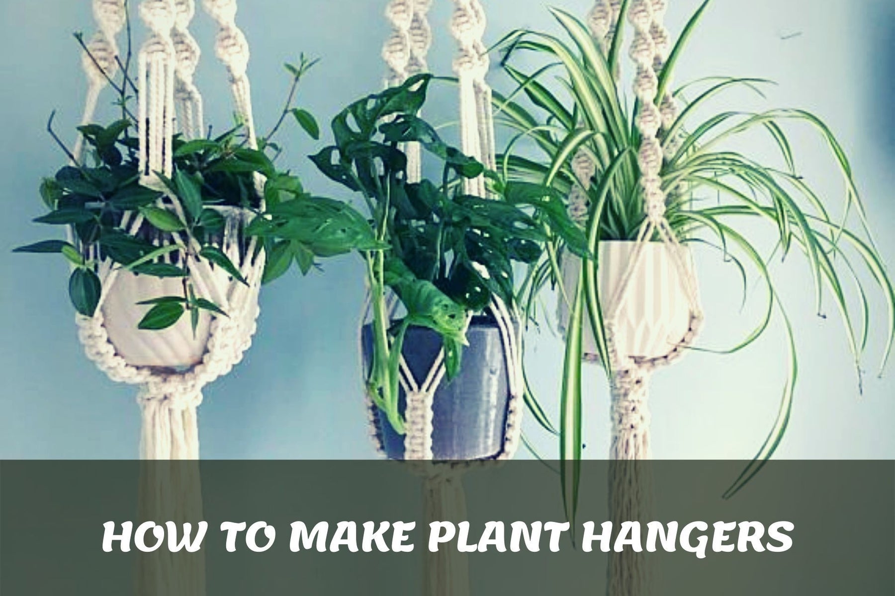 Plant - How To Make Plant Hangers