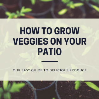 How To Grow Container Vegetables On Your Patio