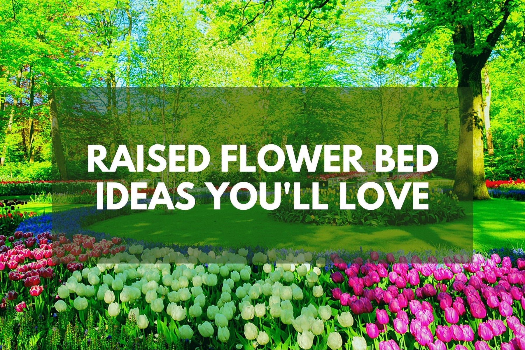 Plant - Raised Flower Bed Ideas You’ll Love