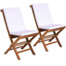 All Things Cedar All Things Cedar Folding Chair Set Royal White Cushion Chairs TF22-2-RW 842088020149